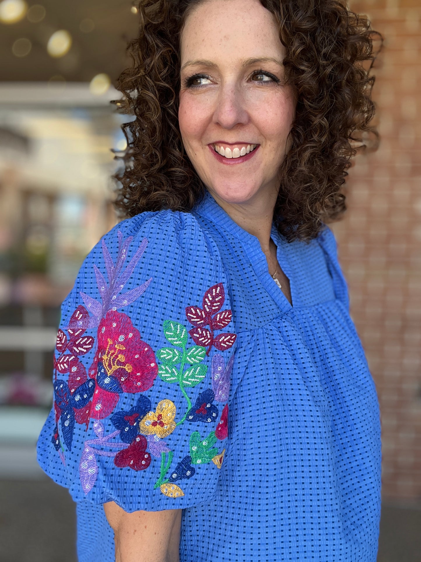 Embroidered Puff Sleeve Top