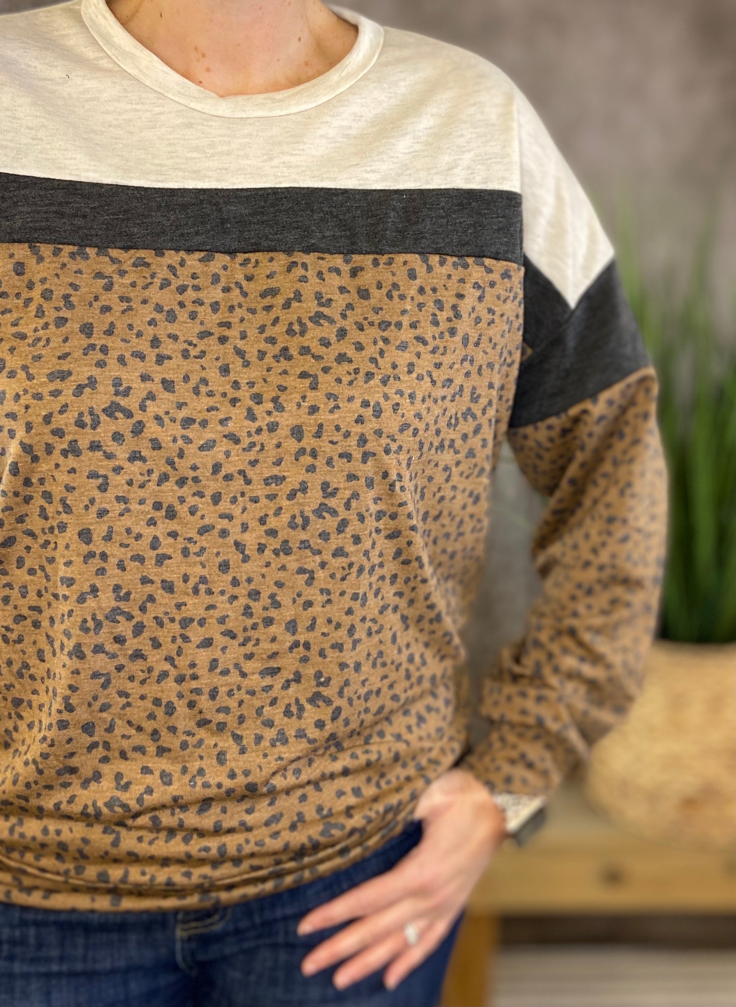French Terry Animal Block Sweatshirt