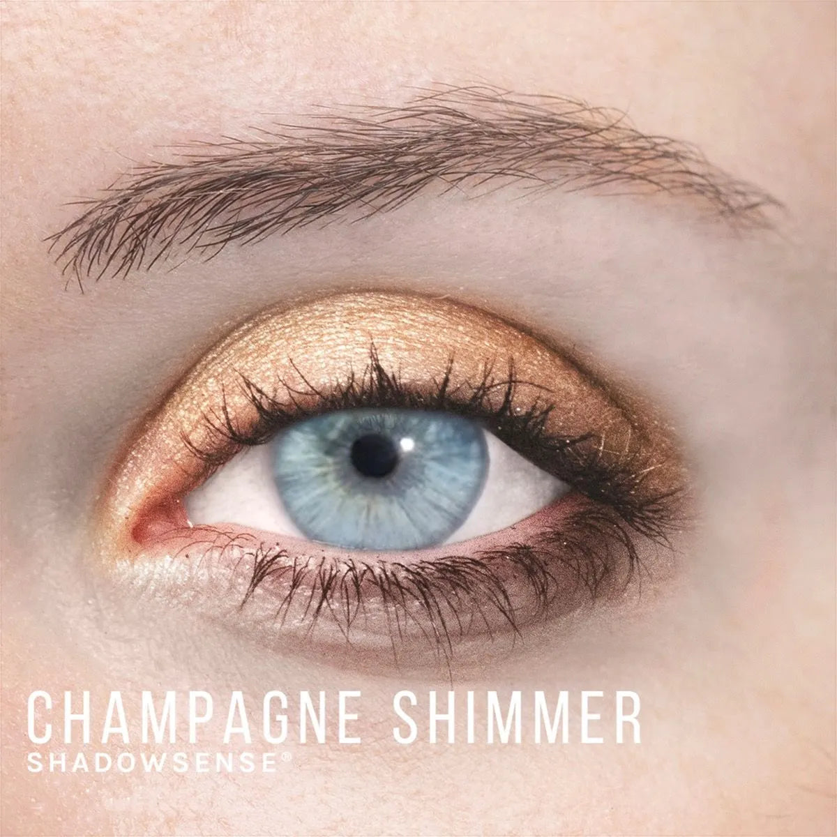 ShadowSense Eyeshadow - CHAMPAGNE SHIMMER