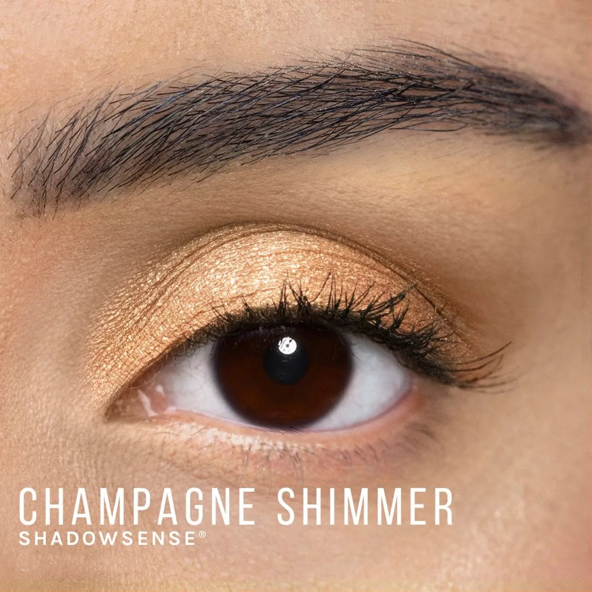 ShadowSense Eyeshadow - CHAMPAGNE SHIMMER