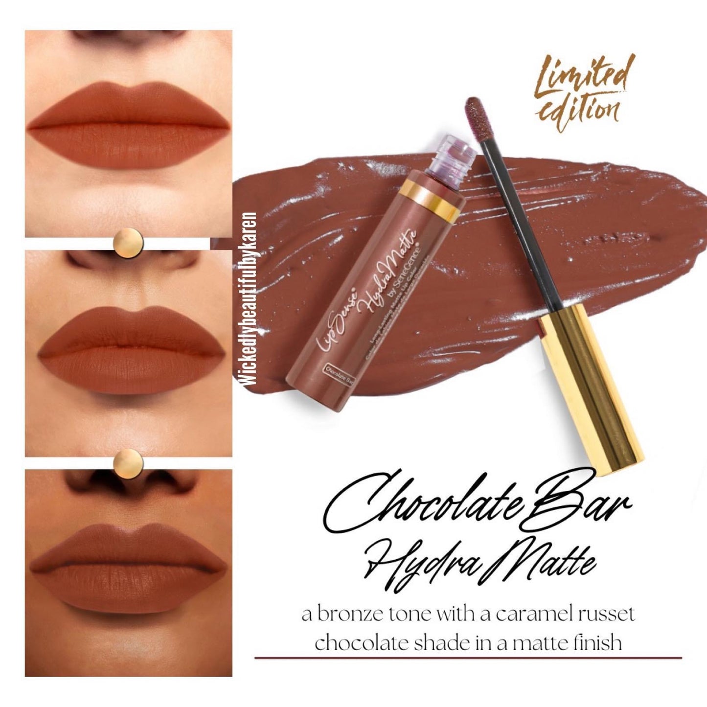 LIPSENSE Hydramatte Lip Color - Chocolate Bar